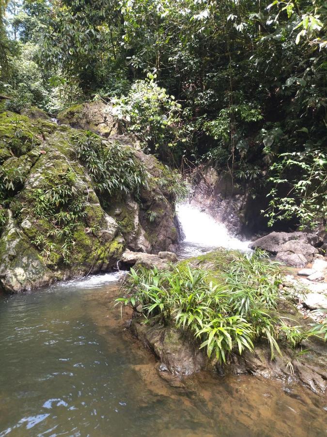 Cabana Villa Sofi Nuqui Luaran gambar